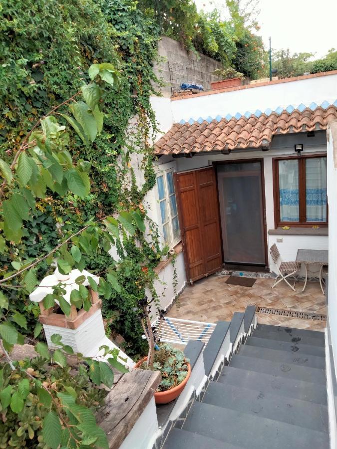 Apartment Casa Rustica Dorgali