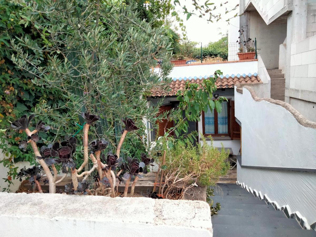 Apartment Casa Rustica